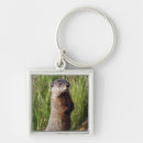Search for marmot key rings Woodchuck