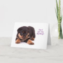 Search for rottweiler puppies cards Dog