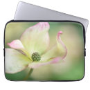 Search for dogwood electronics Blossom