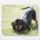 Search for wiener mousepads Animal