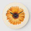 Search for orange gerbera art Bloom