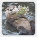 Search for float stickers Animal