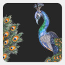 Search for peacock envelope seals Modern