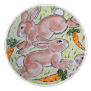 Search for brown bunny Floral