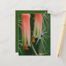 Search for alo postcards Cactus