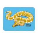 Search for python magnets Reptile