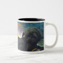 Search for school of fish mugs Nature