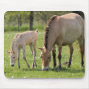 Search for colt mousepads Ranch