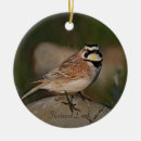 Search for bluebird christmas tree decorations Birds
