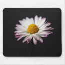 Search for perennial electronics Yellow