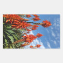 Search for aloe stickers Flowers