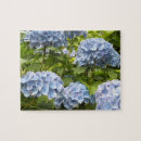 Search for hydrangea puzzles Elegant