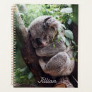 Search for bear planners Animal lover