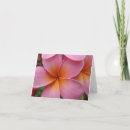 Search for plumeria cards Lei flower