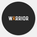Search for ms warrior stickers Awareness