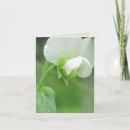 Search for think spring cards Garden