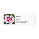 Search for exotic return address labels Pink