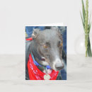 Search for retired dog cards Hound