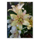 Search for shana tova cards Judaica