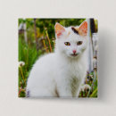 Search for cat owners badges Pet owner