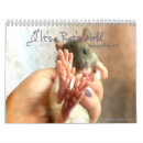 Search for rat calendars Pets