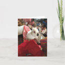 Search for bunny christmas cards Cute