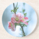 Search for apple blossom barware Nature