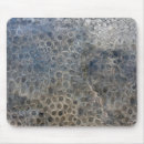 Search for fossil mousepads Stone