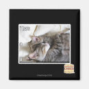 Search for has magnets I can has cheezburger