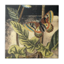 Search for insect tiles Cream