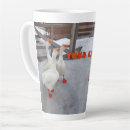Search for beaks mugs Nature