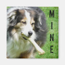 Search for be mine magnets Dog