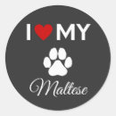 Search for maltese dogs stickers Pets