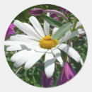 Search for fireweed stickers Alaska