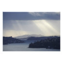 Search for dunedin Otago