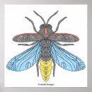 Search for fireflies art Bug