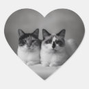 Search for cat photo stickers Heart