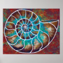 Search for ammonite art Geology