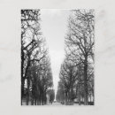 Search for winter trees postcards Cold