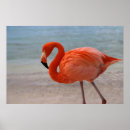 Search for tropical flamingo posters Beach