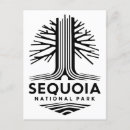 Search for sequoia national park postcards Sierra nevada