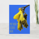 Search for native tree Kowhai