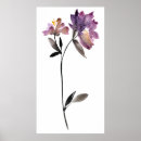 Search for watercolor florals posters Botanical