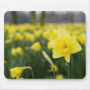 Search for paul thompson electronics Flower