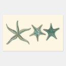 Search for starfish stickers Sea shells