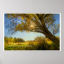 Search for natural light posters Landscape