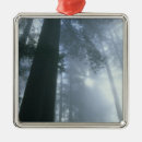 Search for usa christmas tree decorations California