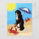 Search for berner postcards Bernese