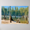 Search for pristine art Serene