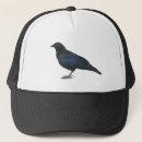 Search for avian hats Raven